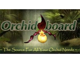 兰花论坛 ，Orchid Board