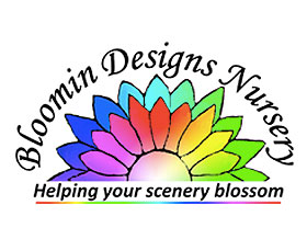 Bloomin 设计苗圃 ，Bloomin Designs Nursery