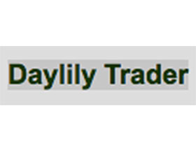 萱草商人， Daylily Trader