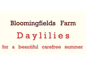 美国花田萱草农场 Bloomingfields Farm