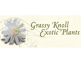 Grassy Knoll 外来植物, Grassy Knoll Exotic Plants