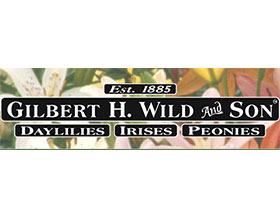 Gilbert H. Wild & Son LLC