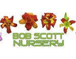 鲍勃史葛苗圃 ，Bob Scott Nursery