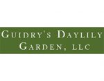 古德利的萱草花园， Guidry's Daylily Garden