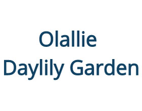 Olallie 萱草花园 ，Olallie Daylily Garden