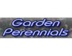 多年生植物花园 ，Garden Perennials