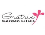 Gratrix 花园百合， Gratrix Garden Lilies