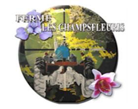 杉田农场, Ferme les champs fleuris