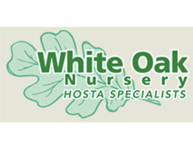 白橡树苗圃， White Oak Nursery