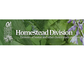 美国家园玉簪种子银行 Homestead Division Seed Bank