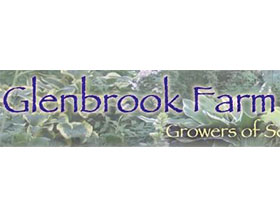 格伦布鲁克农场， Glenbrook Farm