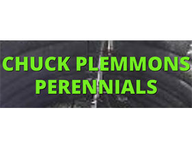 CHUCK PLEMMONS 多年生植物 CHUCK PLEMMONS PERENNIALS