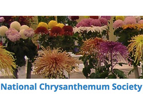 美国国家菊花协会 National Chrysanthemum Society