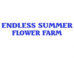 无尽夏季花卉农场， ENDLESS SUMMER FLOWER FARMS