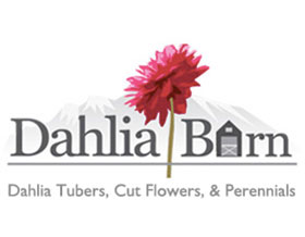 大丽花仓库， Dahlia Barn