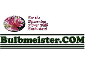 Bulbmeister.COM