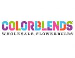 混色花卉球根批发， COLORBLENDS Wholesale Flowerbulbs