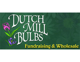 荷兰磨坊球根， Dutch Mill Bulbs
