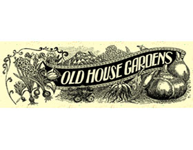 老房子花园-传统球根， Old House Gardens- Heirloom Bulbs