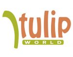 郁金香世界 ，Tulip World