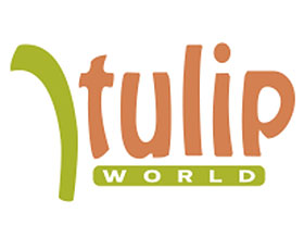 郁金香世界 ，Tulip World