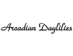 阿卡迪亚萱草 ，Arcadian Daylilies