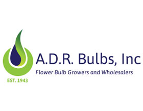 ADR 球茎 ，ADR Bulbs