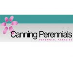 盆栽多年生植物 ，Canning Perennials