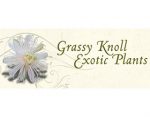 Grassy Knoll 外来植物， Grassy Knoll Exotic Plants