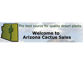 美国亚利桑那仙人掌销售 Arizona Cactus Sales