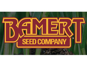 贝默特种子公司， Bamert Seed Company