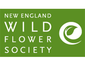 美国新英格兰野生花卉协会 New England Wild Flower Society