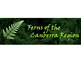 堪培拉蕨类 ,Ferns of the Canberra Region
