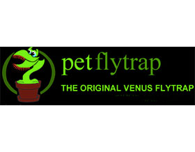 美国PetFlyTrap食肉植物苗圃