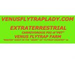 捕蝇草农场， VENUSFLYTRAPLADY.COM