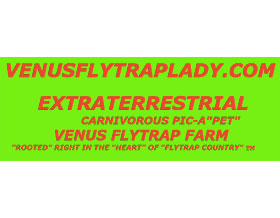 捕蝇草农场， VENUSFLYTRAPLADY.COM