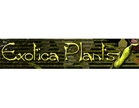 异国植物， Exotica Plants