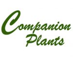 伴侣植物， Companion Plants
