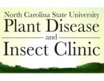 北卡罗莱纳州立大学植物疾病和虫害诊所 NC Plant Disease & Insect Clinic