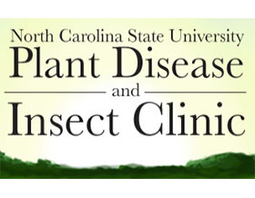 美国北卡罗莱纳州立大学植物疾病和虫害诊所 NC Plant Disease & Insect Clinic