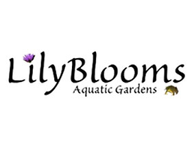 美国百合花水生植物花园 Lilyblooms Aquatic Gardens