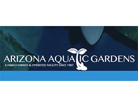 亚利桑那州水上花园 Arizona Aquatic Gardens