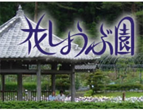 永泽寺院花菖蒲庭园