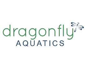 水蜻蜓， Dragonfly Aquatics
