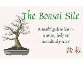 盆景网 ，BonsaiSite.com