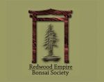 红杉帝国盆景协会， Redwood Empire Bonsai Society