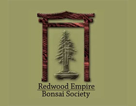 红杉帝国盆景协会， Redwood Empire Bonsai Society