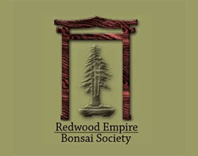 红杉帝国盆景协会， Redwood Empire Bonsai Society