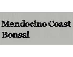 美国Mendocino海岸盆景苗圃 Mendocino Coast Bonsai