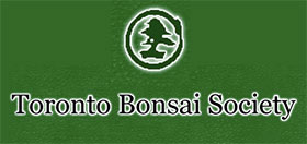 加拿大多伦多盆景协会 Toronto Bonsai Society